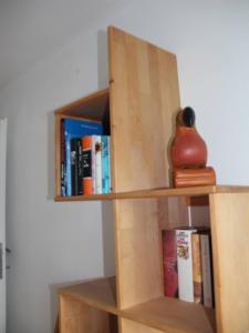 Biblioteka w apartamencie