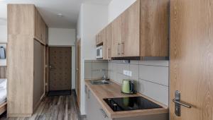 Kuchyň nebo kuchyňský kout v ubytování Modern fully equipped studio with parking Zavadilka 2620