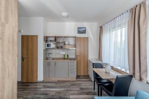 Kuchyň nebo kuchyňský kout v ubytování Modern fully equipped studio with parking Zavadilka 2620