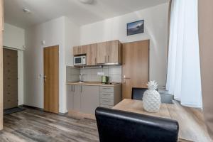 Kuchyň nebo kuchyňský kout v ubytování Modern fully equipped studio with parking Zavadilka 2620