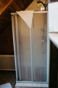a shower with a glass door in a room at Ferienwohnung Vidmar in Arriach