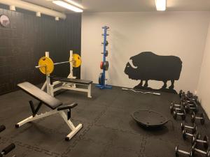 a room with a gym with a bull on the wall at Basecamp Frich`s Hjerkinn in Hjerkinn