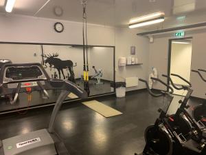 a gym with a treadmill and a bike in a room at Frich`s Hjerkinnhus in Hjerkinn