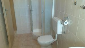 a bathroom with a toilet and a shower at Lastovo City Center in Lastovo