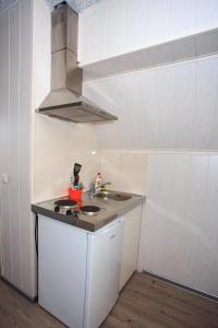 a kitchen with a sink and a stove at Vetesina in Pärnu
