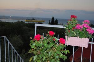 Gallery image of TRADITIONAL ROOM the small museum IONIAN SEA in Kyllini