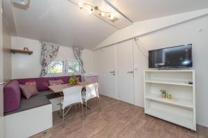 Televízia a/alebo spoločenská miestnosť v ubytovaní Mobile home Pecten 03