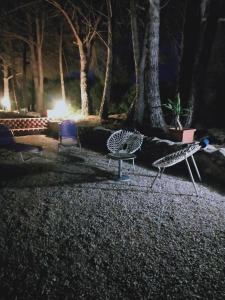 three birds sitting in a park at night at Le stanze del mare in Golfo Aranci +75 photos