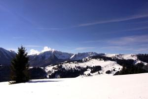 Gallery image of Vila Rudi Toni in Boge