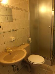Fotografie z fotogalerie ubytování Sporthotel Rudolf v destinaci Boží Dar