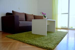 ein Wohnzimmer mit einem Sofa und einem grünen Teppich in der Unterkunft James Bond Apartments in Rab