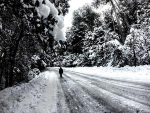 una persona caminando por una carretera cubierta de nieve en Solar de las Araucarias en San Carlos de Bariloche