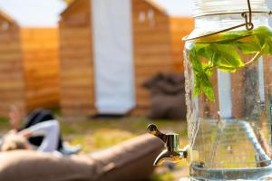 フリーラントにあるSurfana Vlieland Surf Host en Bed & Breakfastのギャラリーの写真