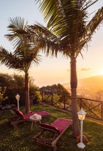 a patio with palm trees and a table and chairs at Casa dos Avos in Calheta