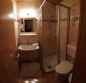 a bathroom with a shower and a sink and a toilet at Ferienwohnung Schönauer in Haus im Ennstal