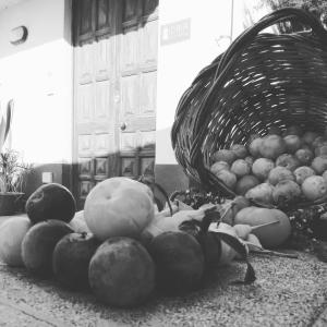 a pile of fruit in a basket on the ground at Idria B&B in Barcellona-Pozzo di Gotto