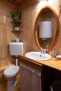 a bathroom with a toilet and a sink with a mirror at Barna Faház in Tarnaszentmária