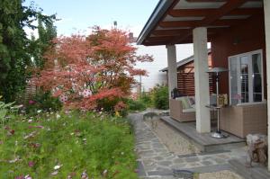 A garden outside Box58
