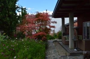 A garden outside Box58