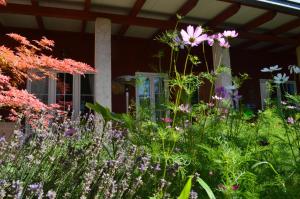 A garden outside Box58