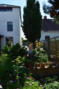 A garden outside Box58