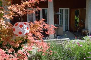 A garden outside Box58