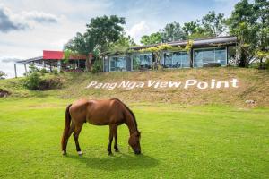 a horse grazing in a field in front of a house at Phang Nga Viewpoint in Phangnga