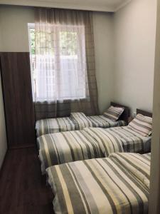 Shamb Hotel房間的床