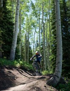 Gallery image of Tiny Homes at Powderhorn Mountain Resort in Mesa +29 photos