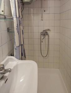 un baño con lavabo y ducha en Apartman Gržin, en Mošćenička Draga