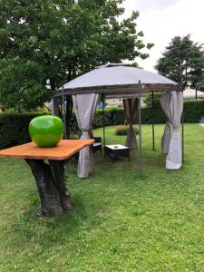 Zahrada ubytování Hotel Quadrifoglio