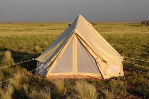Gallery image of Starlight Tent 1 in Holbrook
