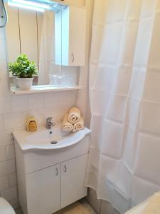 Koupelna v ubytování Apartman Rosic