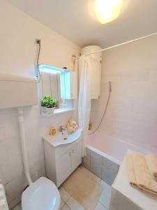 Koupelna v ubytování Apartman Rosic