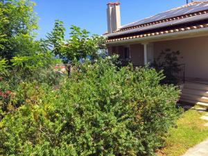 Vonkajšia záhrada v ubytovaní Corinthian Sun - Vacation Home