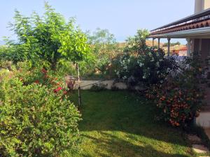 Vonkajšia záhrada v ubytovaní Corinthian Sun - Vacation Home
