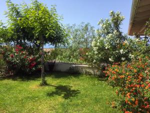 Vonkajšia záhrada v ubytovaní Corinthian Sun - Vacation Home