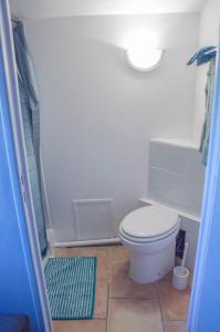 a bathroom with a white toilet and a shower at Studio entre Cévennes et Camargue in Montfrin