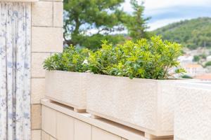 a window box with plants on a building at Apartman Ružica in Pučišća