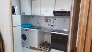 una pequeña cocina con fregadero y lavavajillas en PASEO DE LOS AYERBE Nº5, en Canfranc-Estación