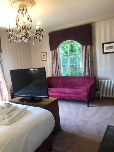 a living room with a purple couch and a tv at Abbots Leigh B&B in Glastonbury