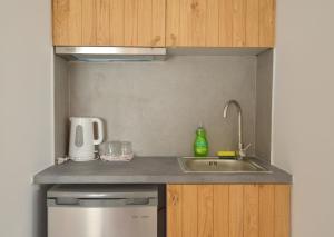 a kitchen with a sink and a counter top at Hotel Apartments Giannis in Adamantas