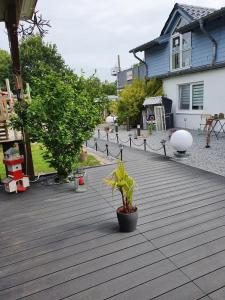 una terraza de madera con una maceta. en Zentrales Zimmer auf dem Land en Großsolt