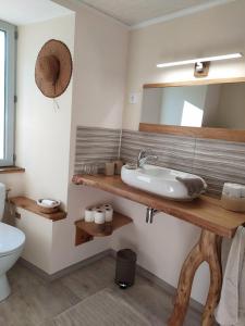 een badkamer met een wastafel, een spiegel en een toilet bij La Ferme Les Mamours in La Bastide-lʼÉvêque