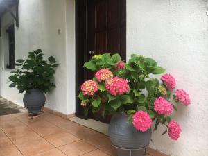 A garden outside Sarakinas Farm House