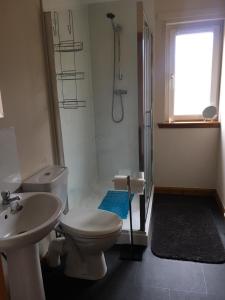 a bathroom with a toilet and a sink and a shower at Ivy Cottage in Montrose