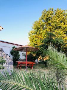 a picnic table and an umbrella in a garden at Kirkos Apartments in Kamariotissa