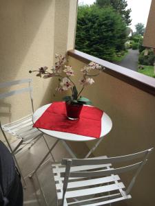 a table with a vase on it with a plant on it at Vacances à la plage Cabourg F2 in Cabourg
