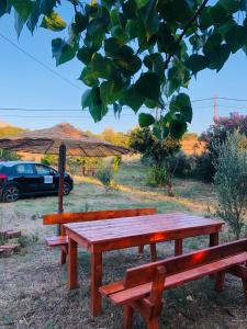 a picnic table and a car parked in a field at Kirkos Apartments in Kamariotissa