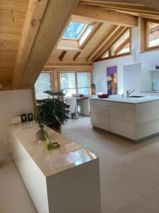 a large room with a kitchen with a counter top at Pegasus in Zweisimmen